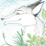 BluesFox Gray's profile picture
