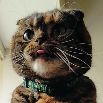 なの's profile picture