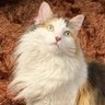 Trinity's profile picture