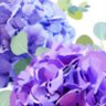 Фото профиля ふう