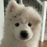 WuzRay's profile picture