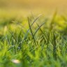 Фото профиля Touch Grass