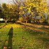 ???? profil fotoğrafı