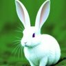 TheWhiteRabbit's profile picture