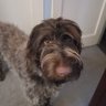 no name's profile picture