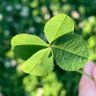 Фото профиля 明日はもっとよくなる(^^)