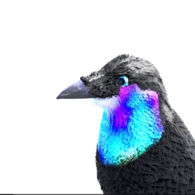 Kazuya Ohyanagi🦑's profile picture