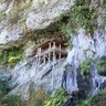 Фото профиля ウィッシウィッシュ