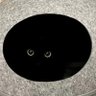 POSINIHILI's profile picture