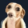 Profilbild von dju