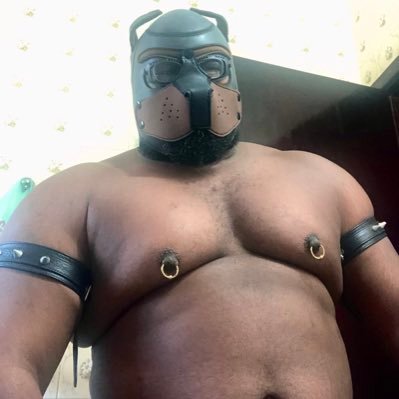 MadGreyWolf's profile picture