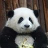 shalley's profile picture