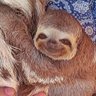 Profilbild von Raíssa