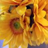 Véronique C.'s profile picture