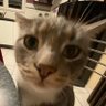 Profilbild von NoCaMe ๐ซต๐น