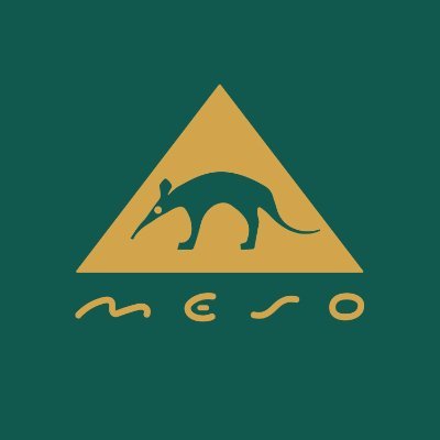 meso/めそ@お仕事募集中's profile picture