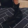 Фото профиля ayie