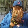 JP Mudman's profile picture