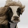 Beef𓆇 profil fotoğrafı
