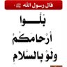 saleh mohamed 的头像