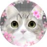 夢々😻🐾@コレコレ生放送視聴中's profile picture