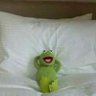 Profilbild von Kermit Kråig IV