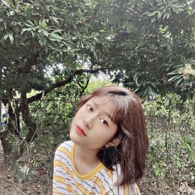 Followback 100%'s profile picture