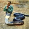 The Sarcastic Bharatiya🇮🇳🚩's profile picture