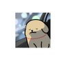 Profilbild von wuyuan0402