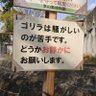 Фото профиля マキしまむら春物