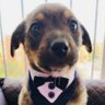 Babyface's profile picture