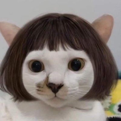 なむにゃ's profile picture