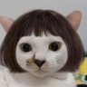 なむにゃ 的头像