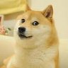 flapflop's profile picture