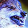 Dimitrios Dekoronis's profile picture