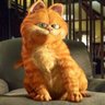 Garfield😼 的头像