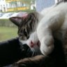 Profilbild von Kürbempi93