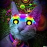 psy-catttttt🪬 profil fotoğrafı