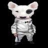 Profilbild von Bull Terrier