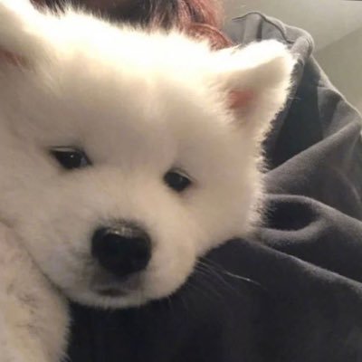 prair's profile picture