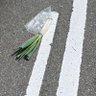 しろみ 的头像