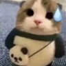 Profilbild von toby ꩜