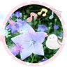 🍎ピヨピヨ's profile picture