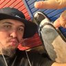 Profilbild von Blue
