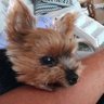 Karen Peck's profile picture