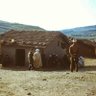 Seddik Hammouche profil fotoğrafı