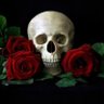 Vanitas's profile picture