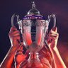 SantaTolosa 💜 (VAINQUEUR DE LA COUPE DE FRANCE) 的头像
