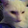 Profilbild von James the Extremist.