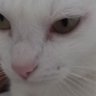 Profilbild von LuAz